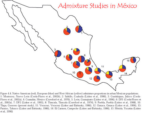 admixture-map-of-mexico