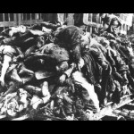 The WWII Dresden Holocaust—‘A Single Column of Flame'