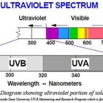 How Do You Know if You Are Getting Enough Vitamin D?