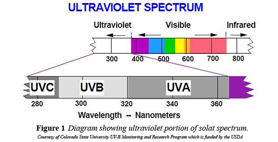 ultraviolet-spectrum